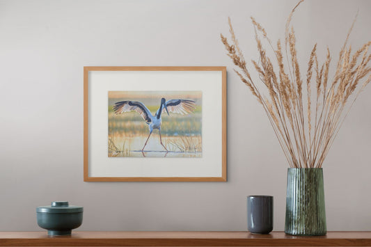 Sunset Jabiru