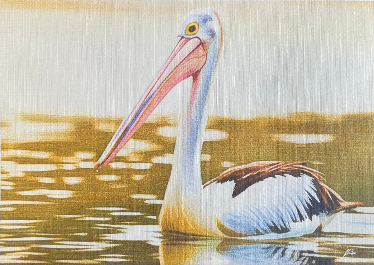 Golden Hour Pelican