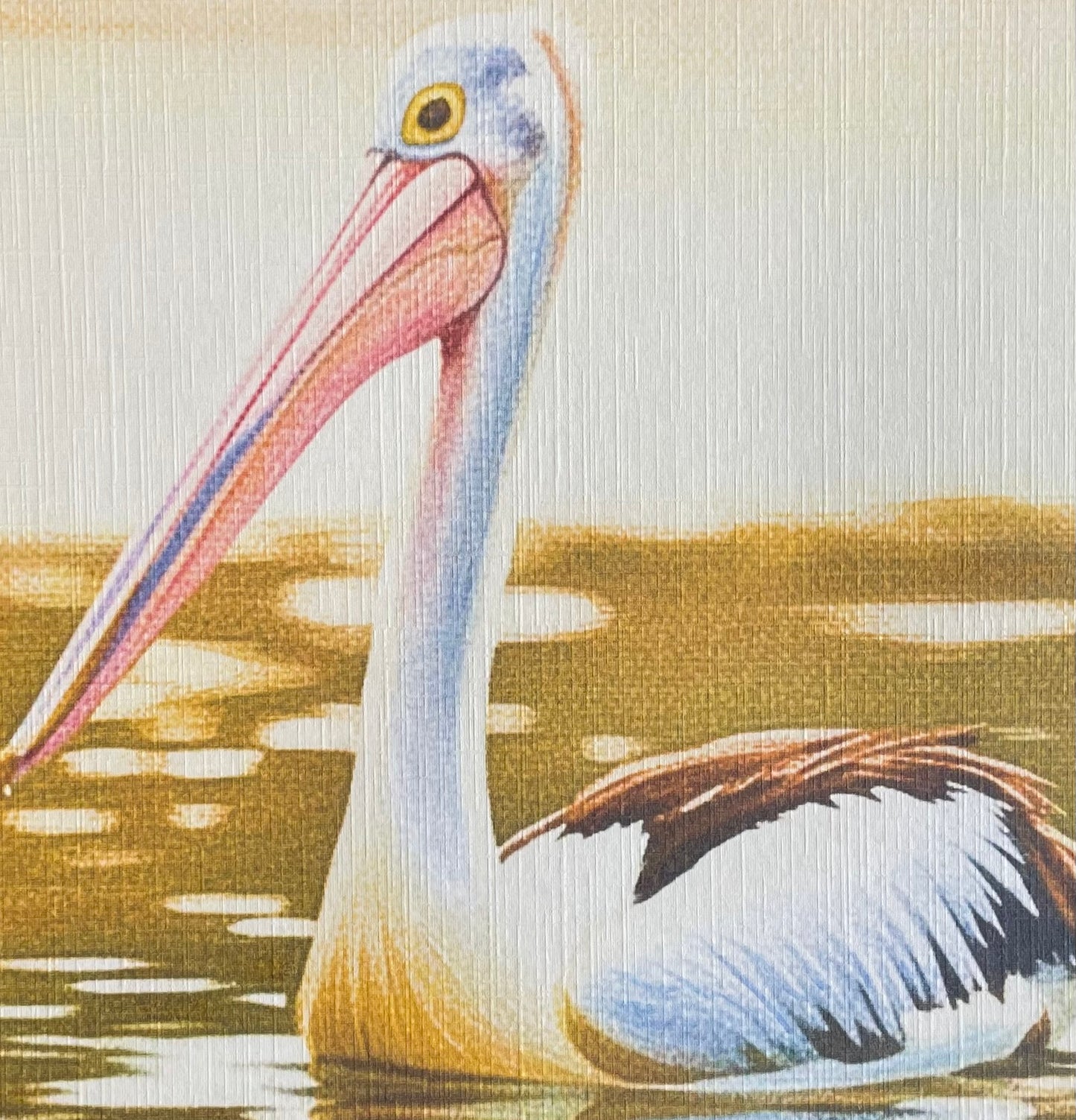 Golden Hour Pelican