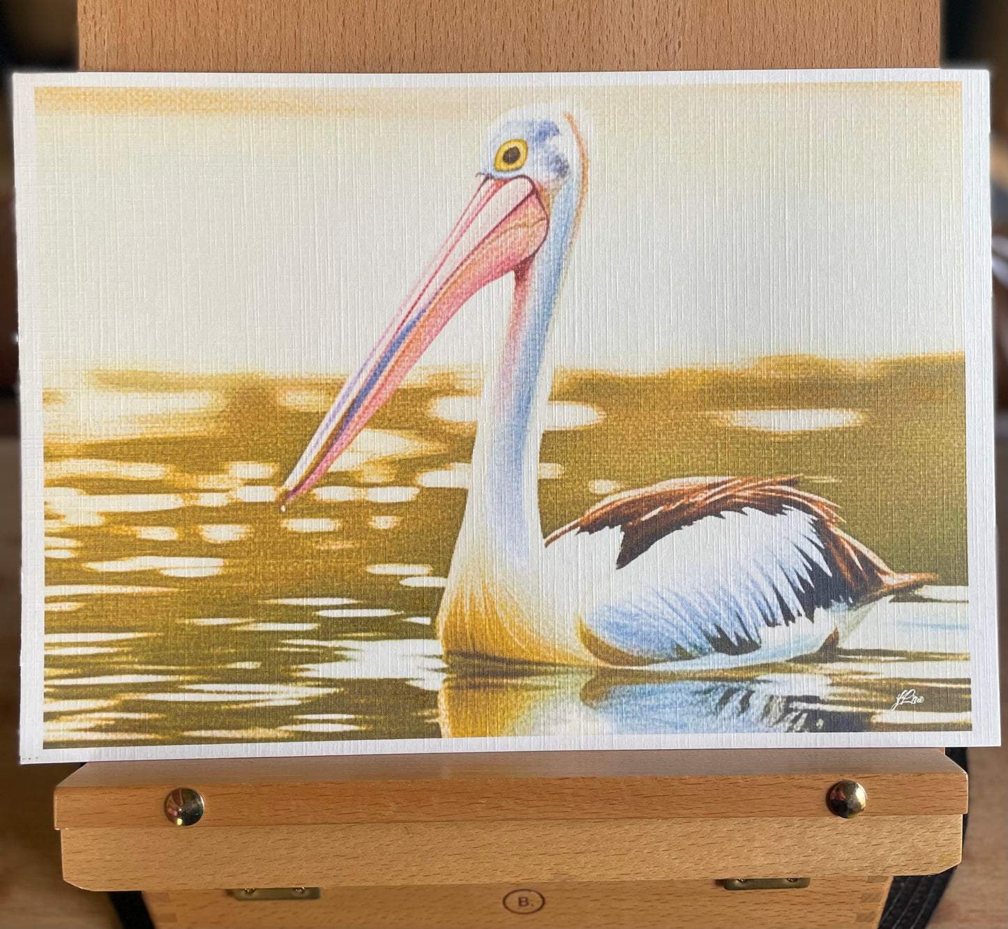 Golden Hour Pelican