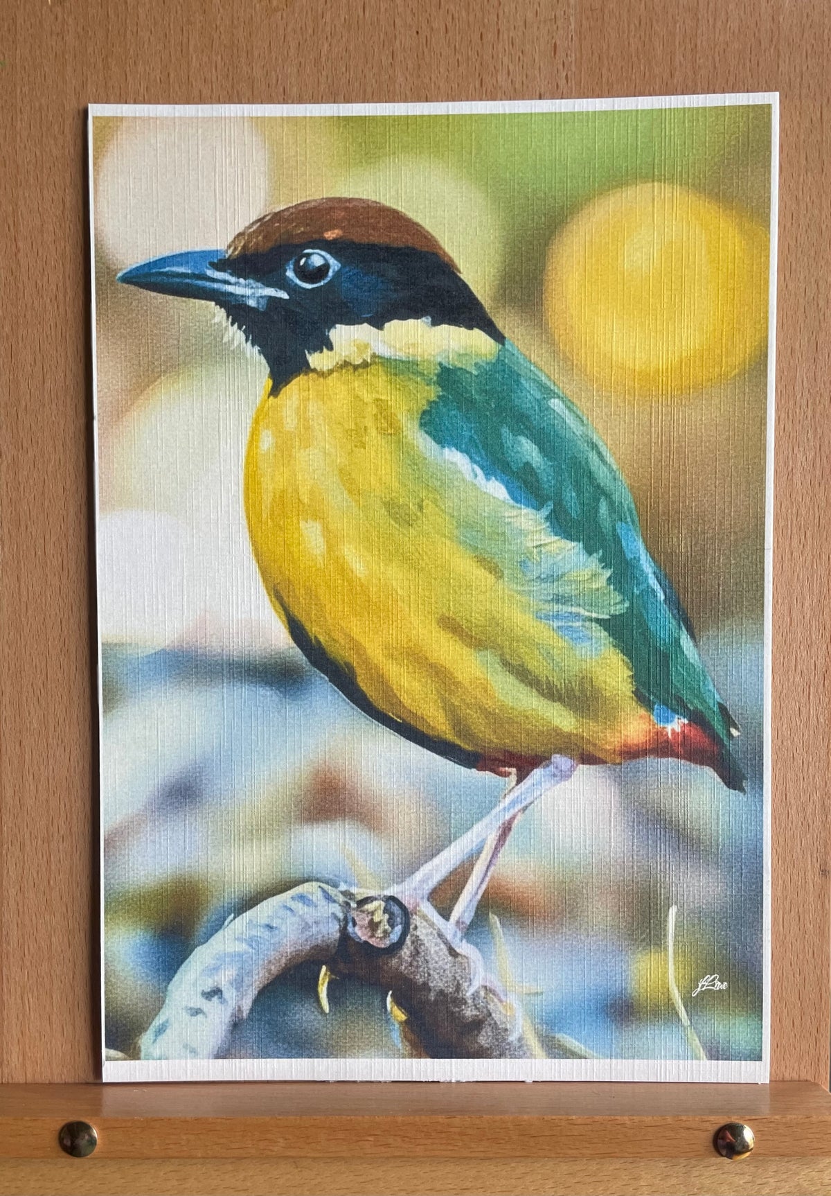 Noisy Pitta