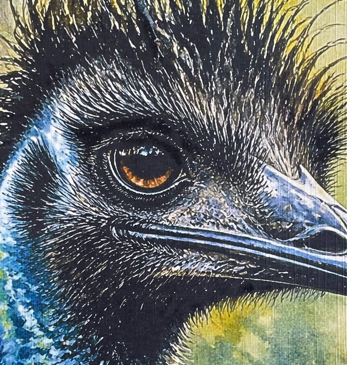 Old Man Emu