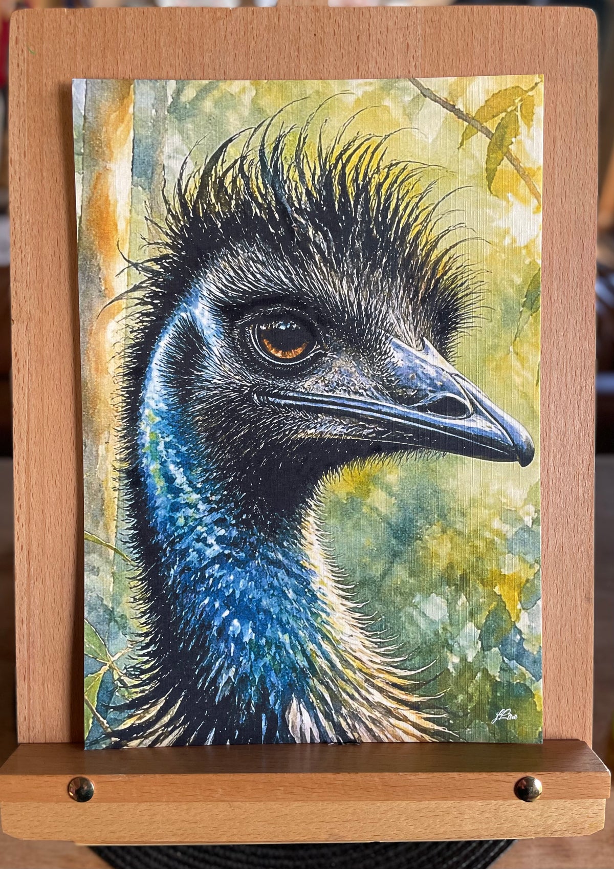 Old Man Emu