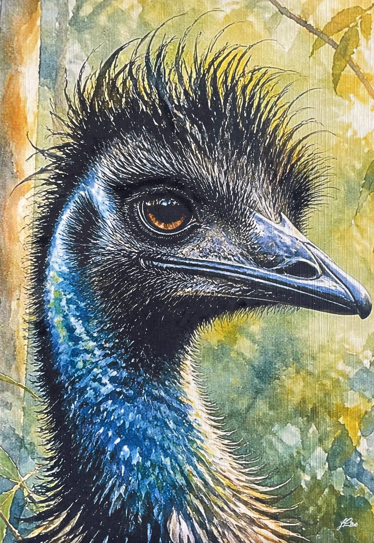 Old Man Emu