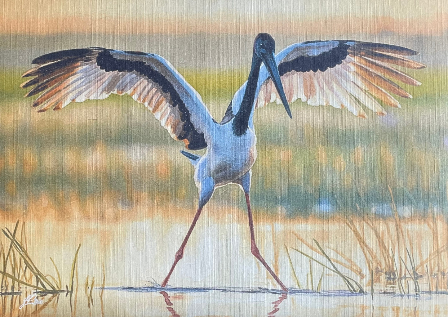 Sunset Jabiru