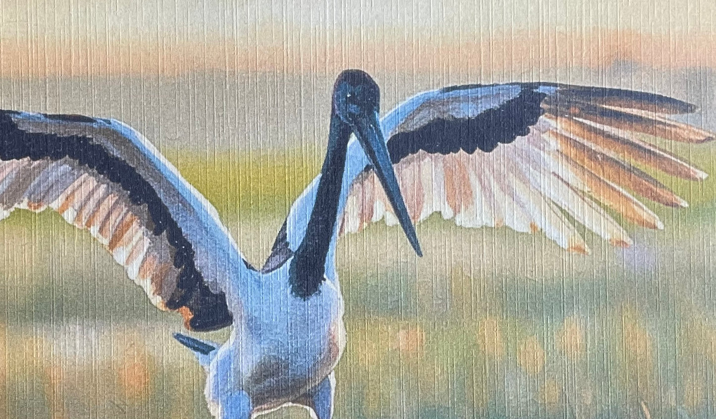 Sunset Jabiru