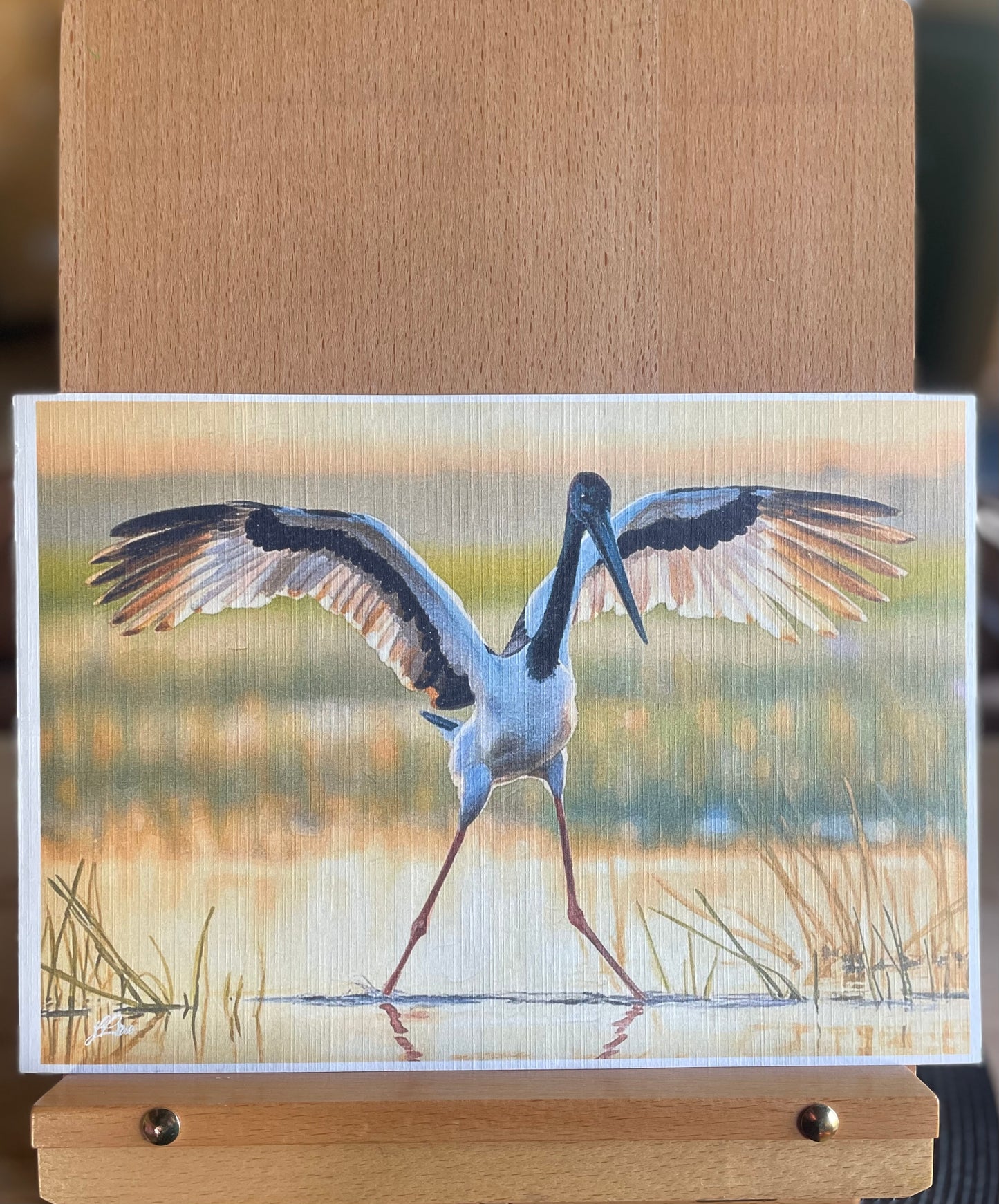 Sunset Jabiru