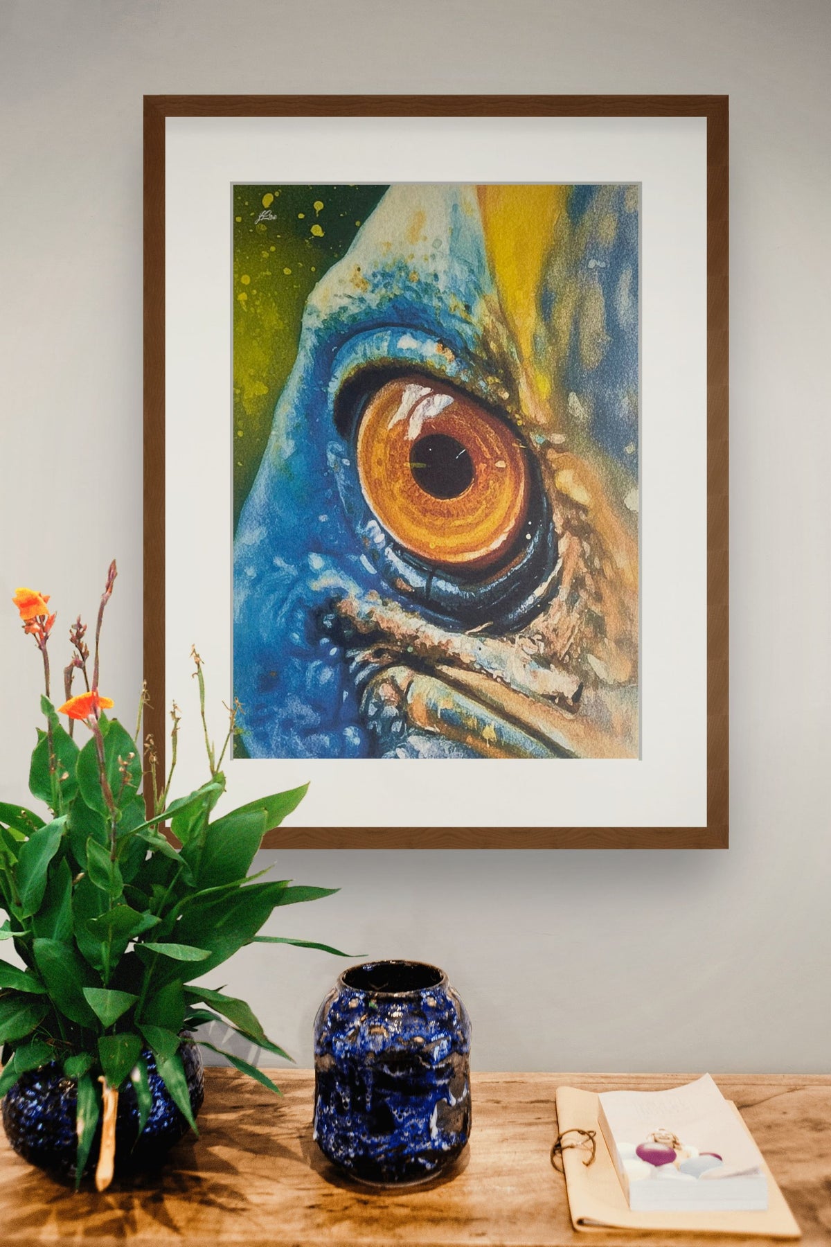 Close encounters with a Cassowary