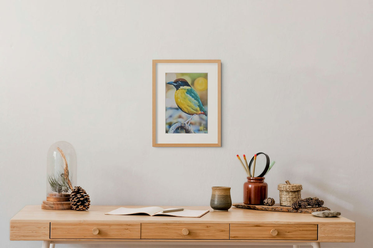 Noisy Pitta